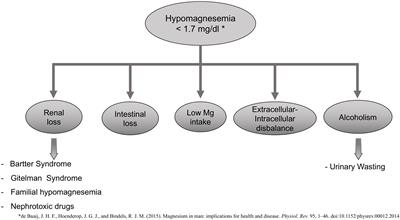 The Role of Disturbed Mg Homeostasis in Chronic Kidney Disease Comorbidities